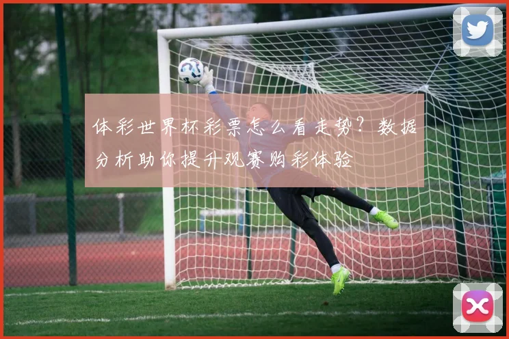 体彩世界杯彩票怎么看走势？数据分析助你提升观赛购彩体验