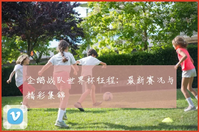 企鹅战队世界杯征程:最新赛况与精彩集锦