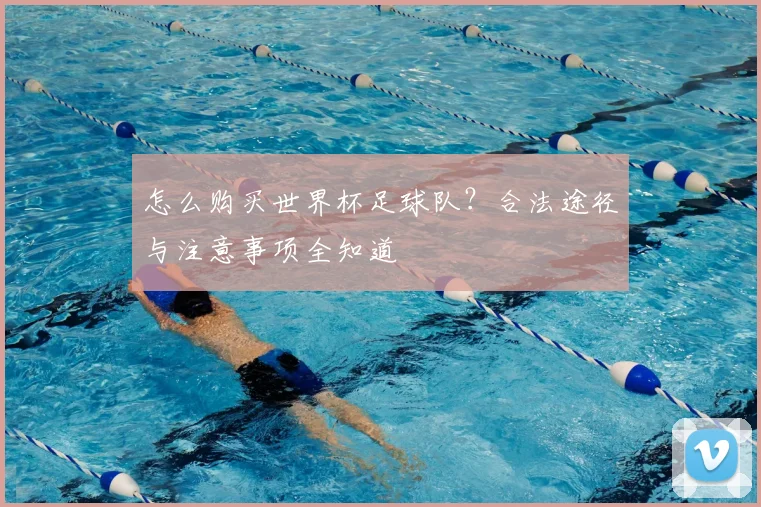 怎么购买世界杯足球队？合法途径与注意事项全知道