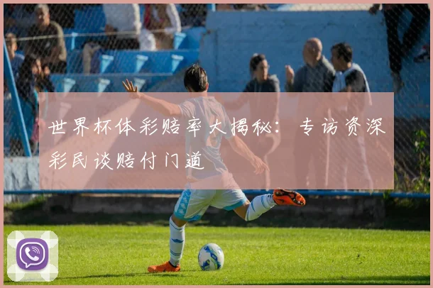 世界杯体彩赔率大揭秘：专访资深彩民谈赔付门道