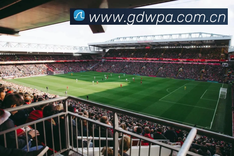 多媒体互动体验